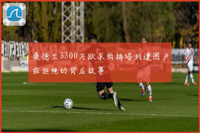 桑德兰3300万欧求购梅塔利遭图卢兹拒绝的背后故事